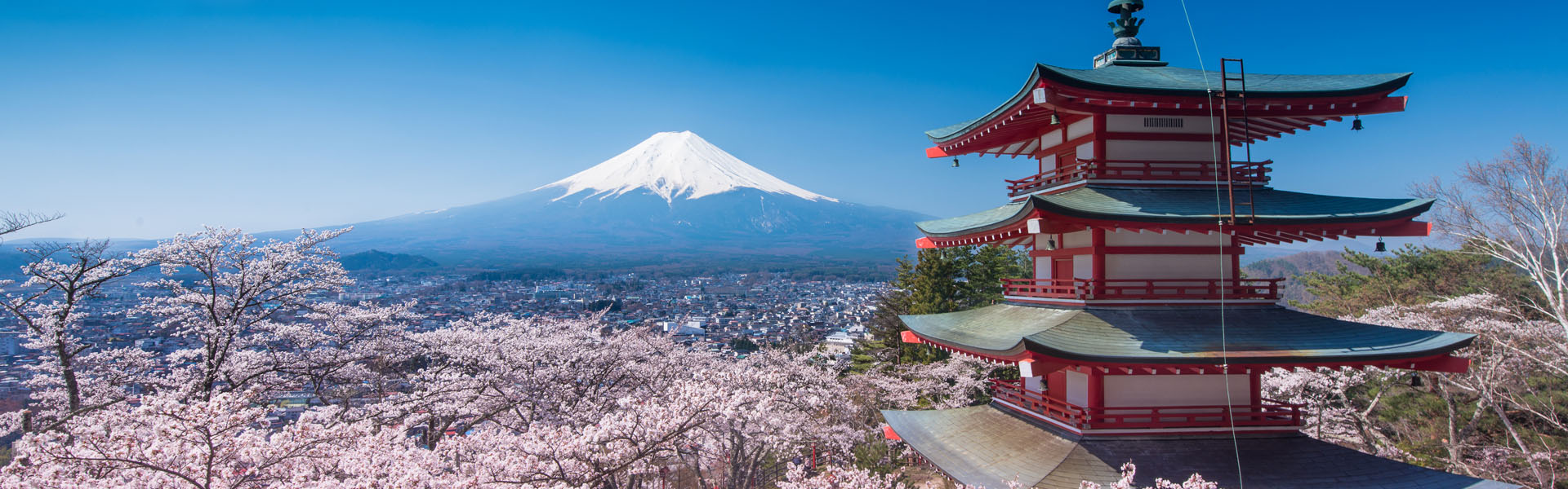 Japan Tour Operator, Japan Travel Agency, Holiday Packages in Japan