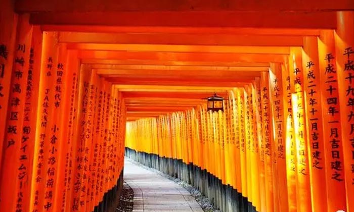 Tour to Japan from Chicago