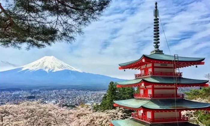 Tour to Japan from Chicago