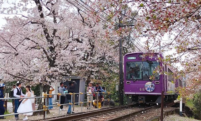 Tour to Japan from Hawaii